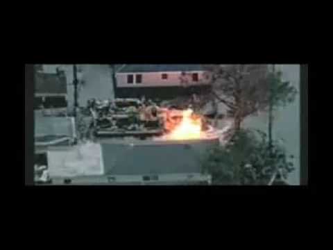 Vessy Vesela Boneva Message to earth