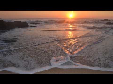 Sol Negro video