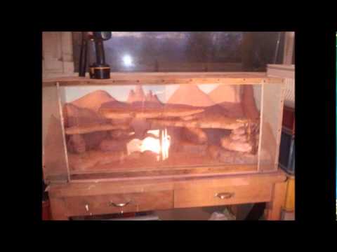 comment construire terrarium