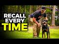 Teach Your Dog To COME To You EVERYTIME Perfect Recall Training