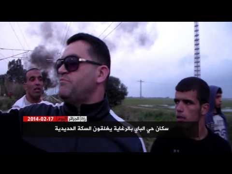 الجزائر اليوم 17/02/2014