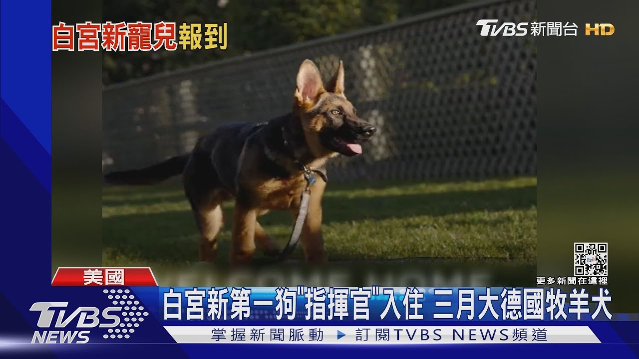 白宮新第一狗「指揮官」入住 三月大德國牧羊犬