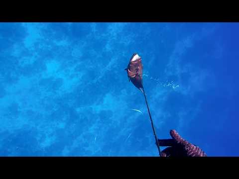 Huahine spearguns 2020