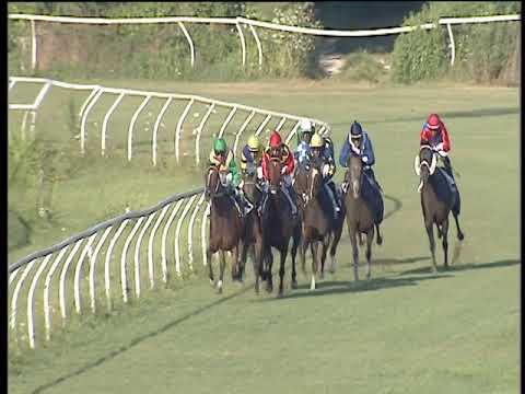 Galoppo 20/07/2018 - 3ª corsa