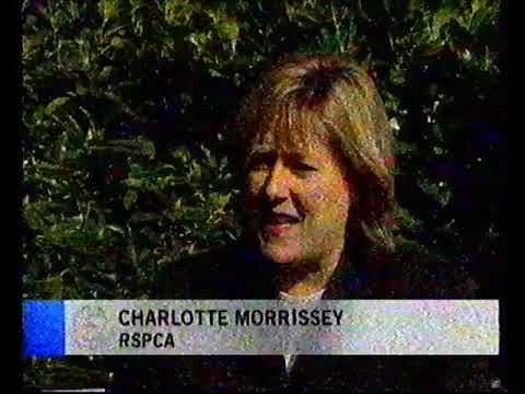 5 News, April 2001, Channel 5, UK