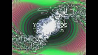 The young gods - Astronomics.mpg