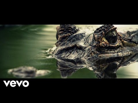 Johnny Maxwell - Numb