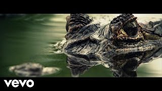 Johnny Maxwell - Numb