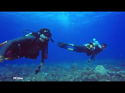 Scuba Diving Desecheo in Puerto Rico | PR Dive Underwater Adventures