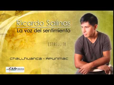 RICARDO SALINAS TAPIA - Estrellita  - C&A Producciones cel: 966901832