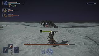 ELDEN RING NIGHTREIGN_エデル　イビルもどき