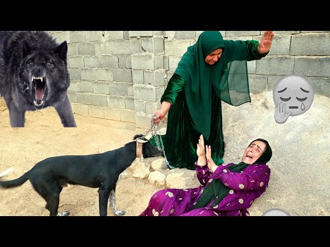 Shocking 😱The mother-in-law who fed her daughter-in-law to wild dogs☠️