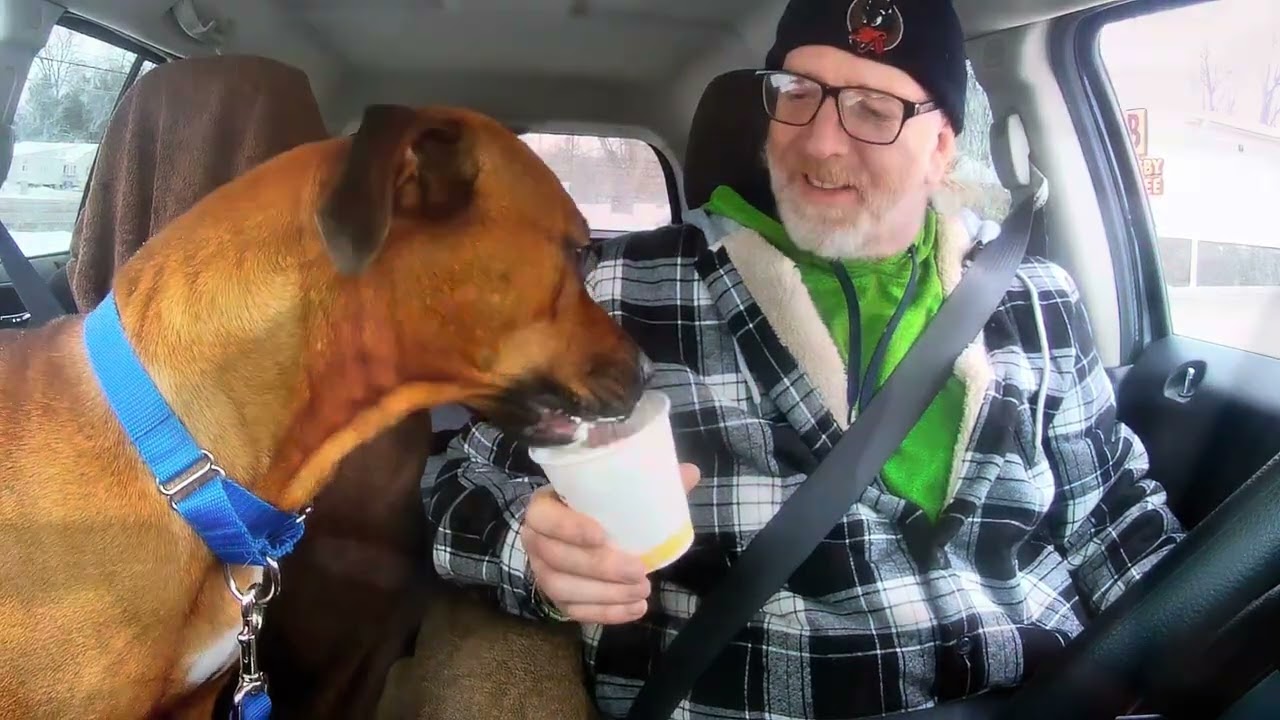 Enlarge Reba, a Adoptable mixed breed in Quincy, MI video 4/4