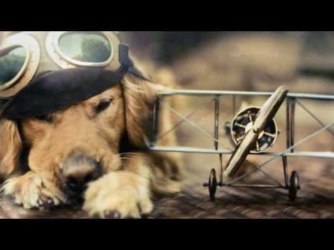 Jessica Trinh mus. Joshua Morse - Winters & Morse