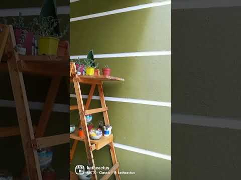 tips pre lluvias #cactus #suculentas #lluvia #plantas #youtube #Shorts#naturaleza #tips #kathcactus🌵