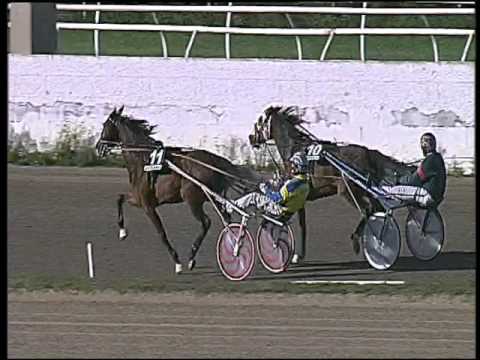 Trotto 22/11/2015 - 1° corsa