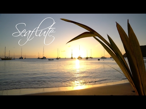 Seaflute - Oyster World Rally