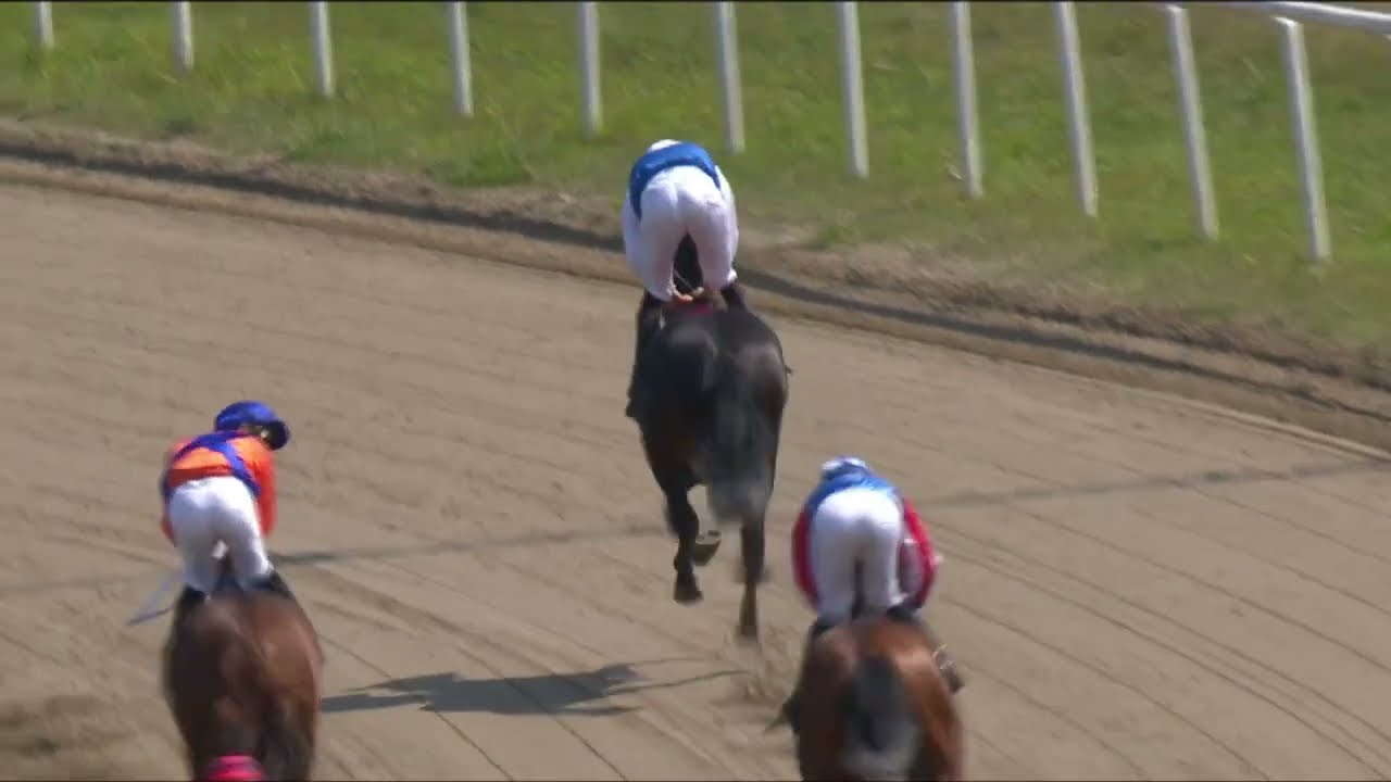 Svenskt Derby Trial 2023