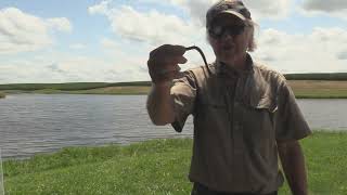 Hot Weather Finesse Worm Fishing
