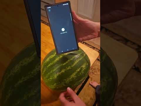 Melon Picker video thumbnail