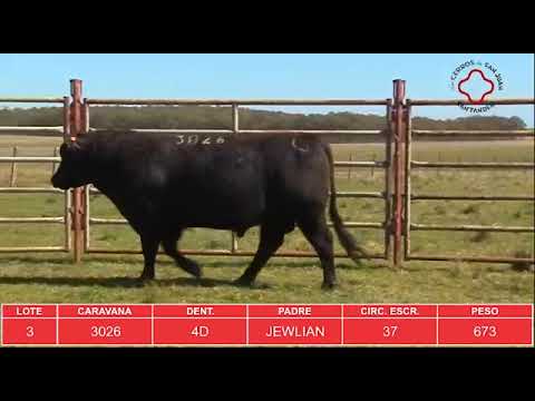 LOS CERROS DE SAN JUAN Y SANTANDER 2020