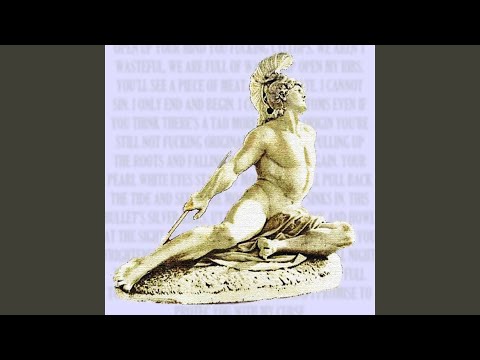 Video thumbnail for I Will One Day Learn To Fly into the Stars