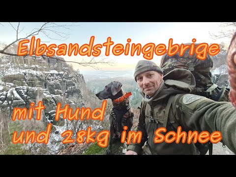 Climbing tour with dog (Weimaraner) in the wintery Elbe Sandstone Mountains
