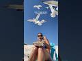 This Beach Lunch Turned Into A Seagull Feeding Frenzy
