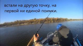 Ловля жереха на дону в сентябре