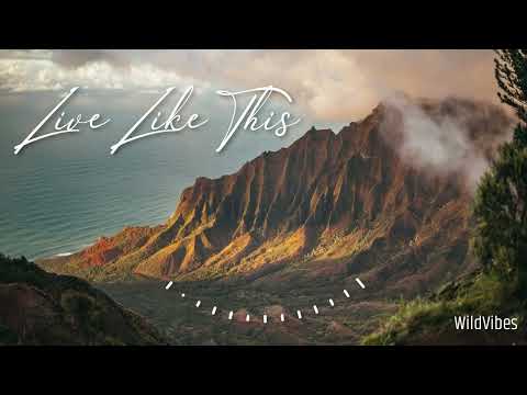 WildVibes - Live Like This