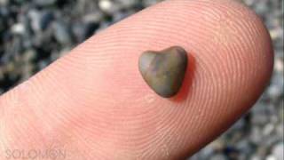 Download lagu Cuida de mim - Tomate (I´m Yours) mp3 Download lagu Cuida de mim - Tomate (I´m Yours) mp3