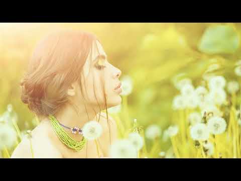 Arctic Moon feat. Shuba - Cool In My Disaster