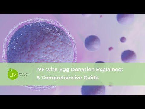 IVF with Egg Donation Explained: A Comprehensive Guide | LIV Fertility Center