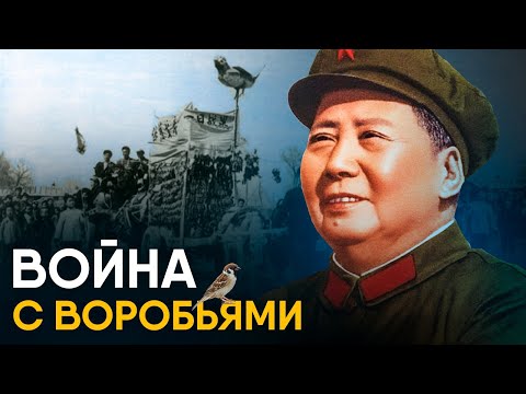 Китай против воробьев - самый страшный голод XX века.