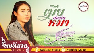 เมียบ่แม่นหมา – สายแนน พอดีม่วน