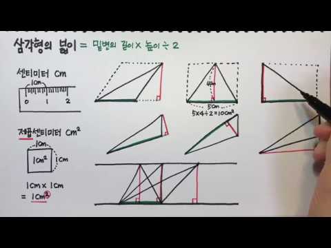 [청개구리유여사] 삼각형의 넓이 구하는 방법
