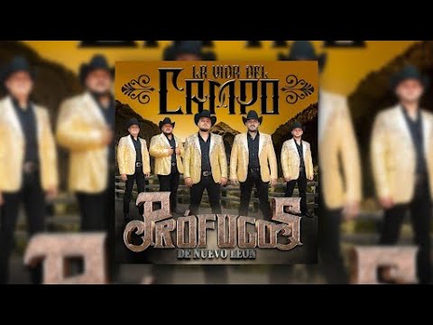 Prófugos de Nuevo León - Me Voy Amor (Audio Oficial)