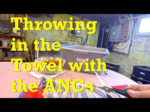 Cotton towel for African nightcrawlers in 72-day "leap day" worm bin - vermicompost