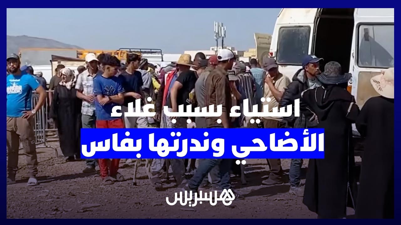 الطلب أكثر من العرض.. استياء ساكنة فاس بسبب غلاء الأضاحي وندرتها في السوق thumbnail