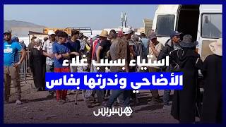 الطلب أكثر من العرض.. استياء ساكنة فاس بسبب غلاء الأضاحي وندرتها في السوق thumbnail