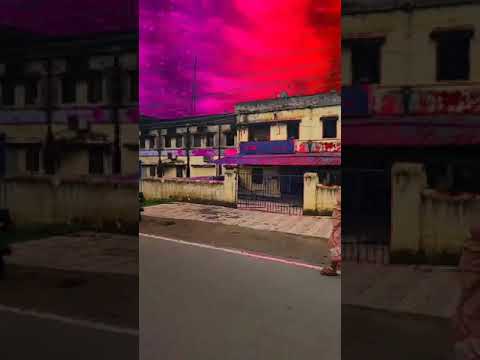 #sky collar is very nice😍😘