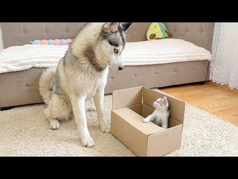YouTube 썸네일
