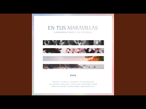 Marcado video
