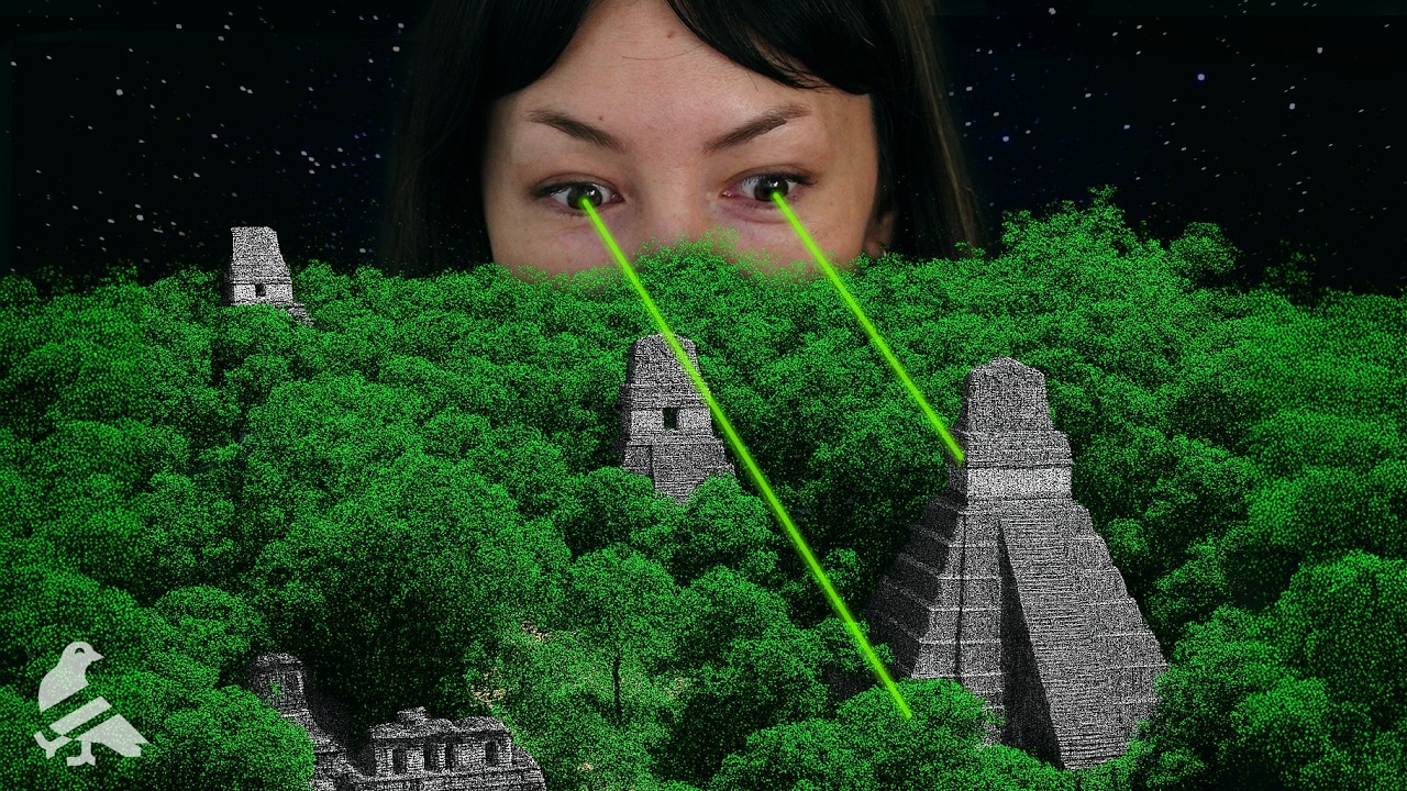 The forest was full of cities we couldn’t see (until now)