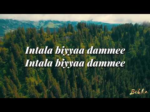 GETAACHOO HA'ILAMAARIYAAM - MI'OO KARAMEELLAA