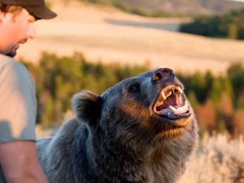 SkarletRodriguezCarrasco’s Video 103880630502 --X8XMVsjOA