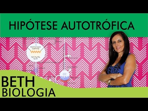 HIPÓTESE AUTOTRÓFICA