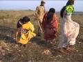 E Gude Maeli Bamur Kaanta Rachkala Superhit Sambalpuri Song