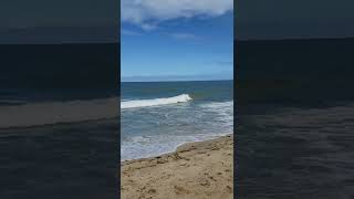 Download lagu LAGI MAIN DI PANTAI | HALU STORY #shorts #storyhalu #storyig #storywa mp3 Download lagu LAGI MAIN DI PANTAI | HALU STORY #shorts #storyhalu #storyig #storywa mp3