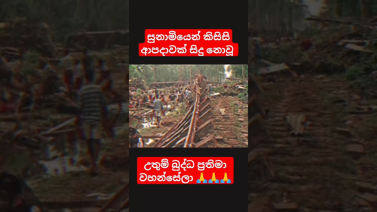 සුනාමියෙන් විනාශ නොවූ බුද්ධ ප්‍රතිමා වහන්සේලා 🙏🙏 #buddha #buddha #sunami #srilanka #sinhala #shots